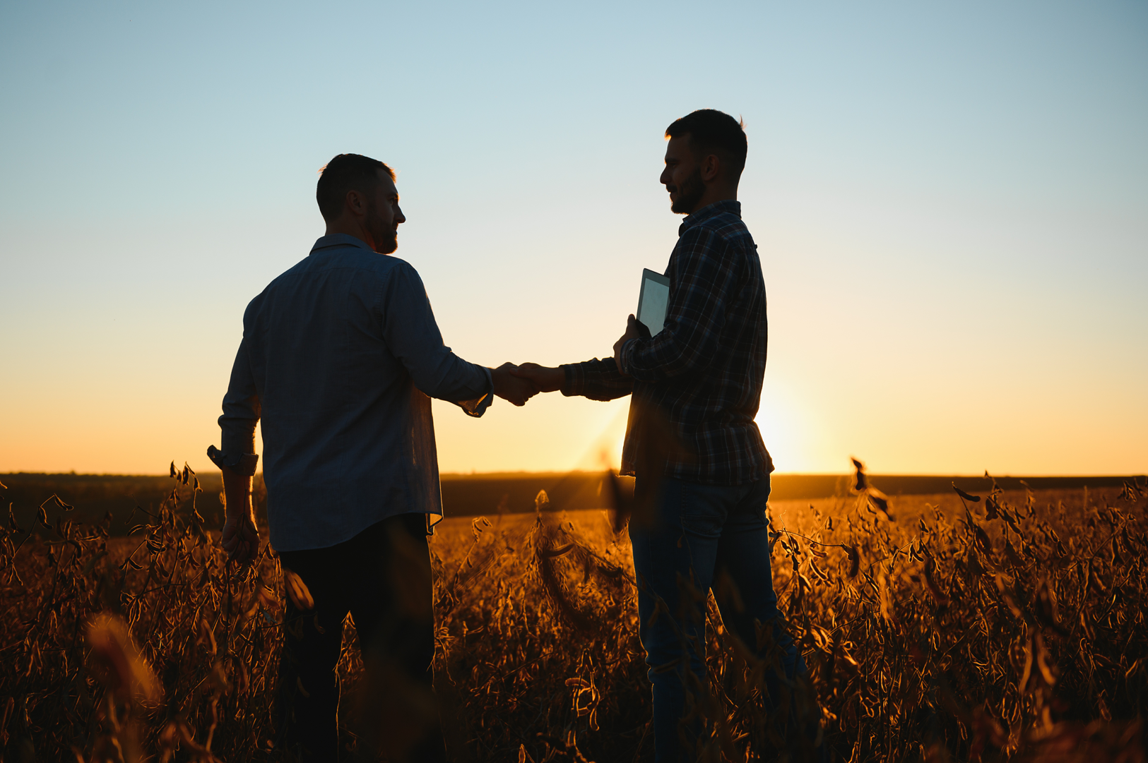 Farm consultancy services